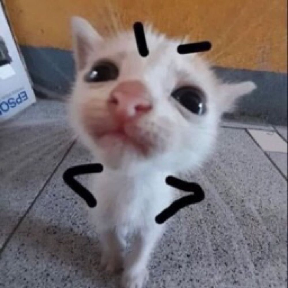 manu