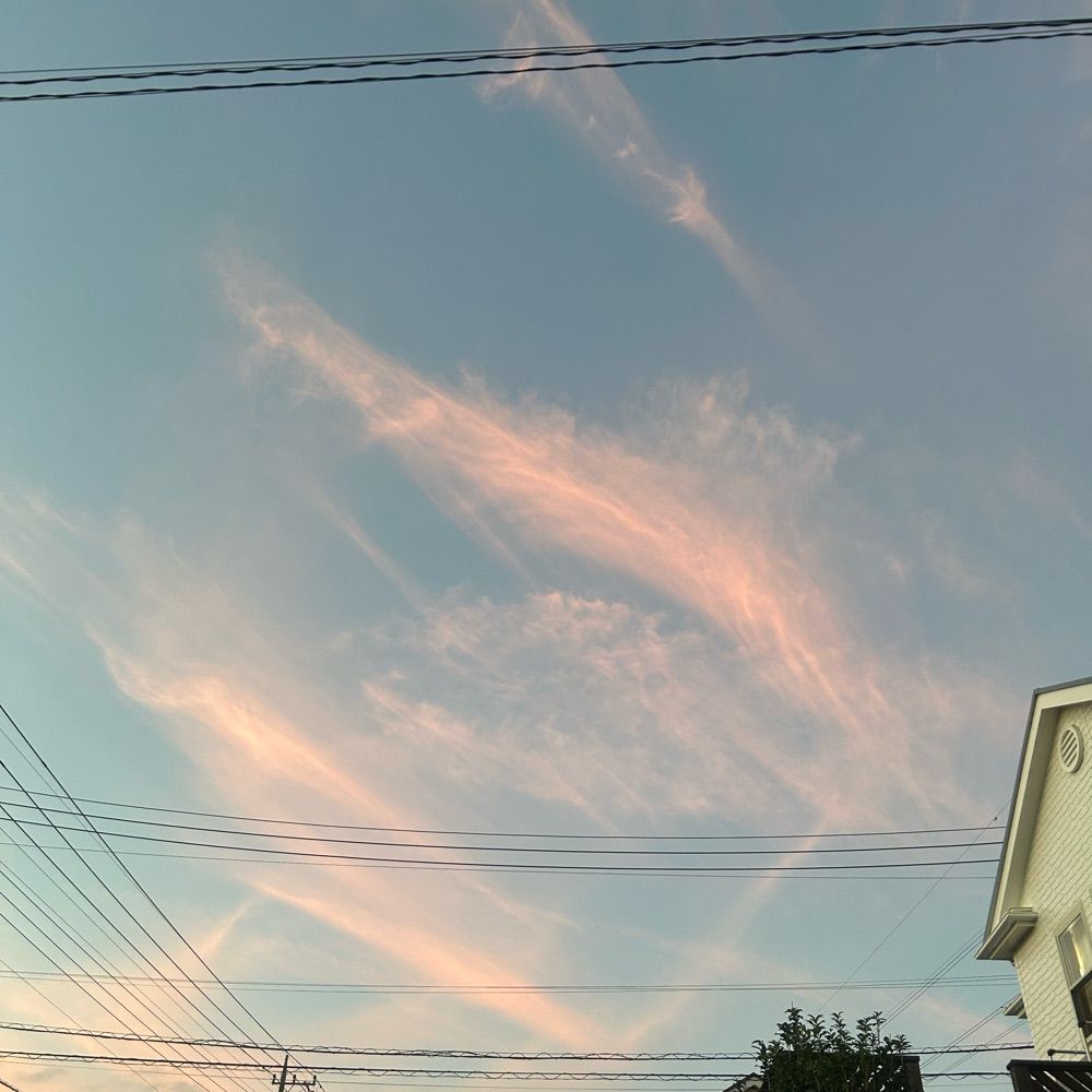 冷えた八宝菜