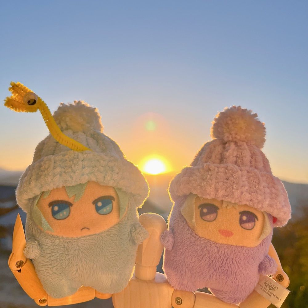 にぼし