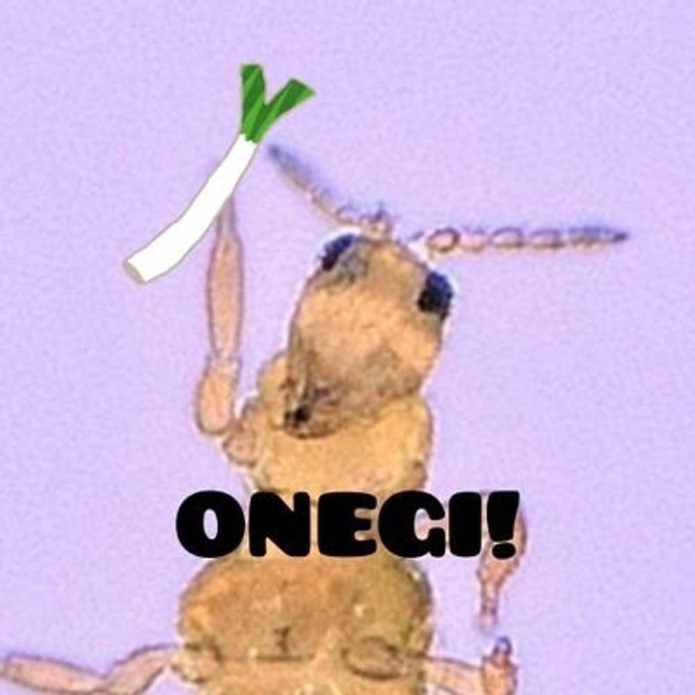 ネギアザミウマ