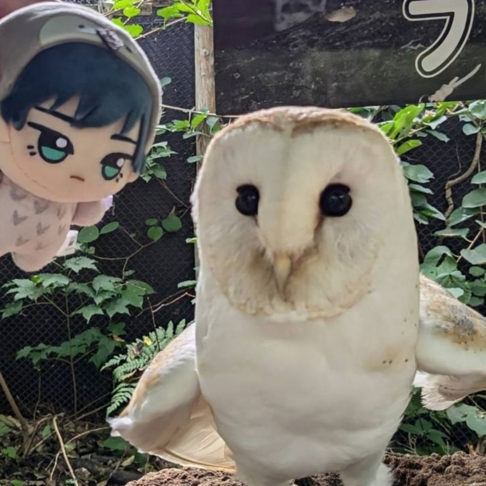 うめし