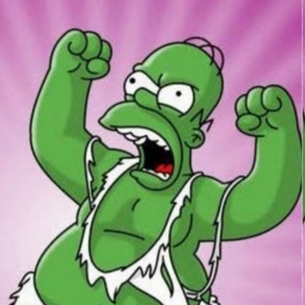 HOMER_Verdao