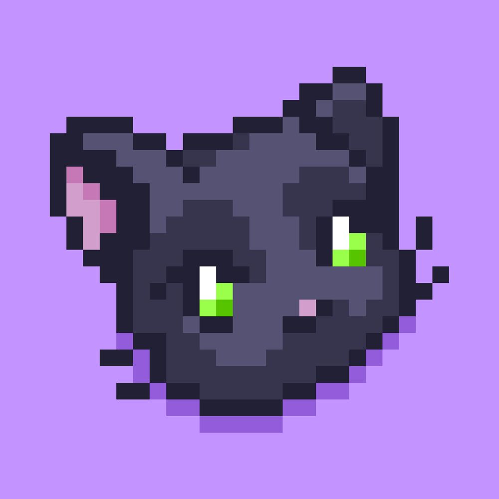 catter1