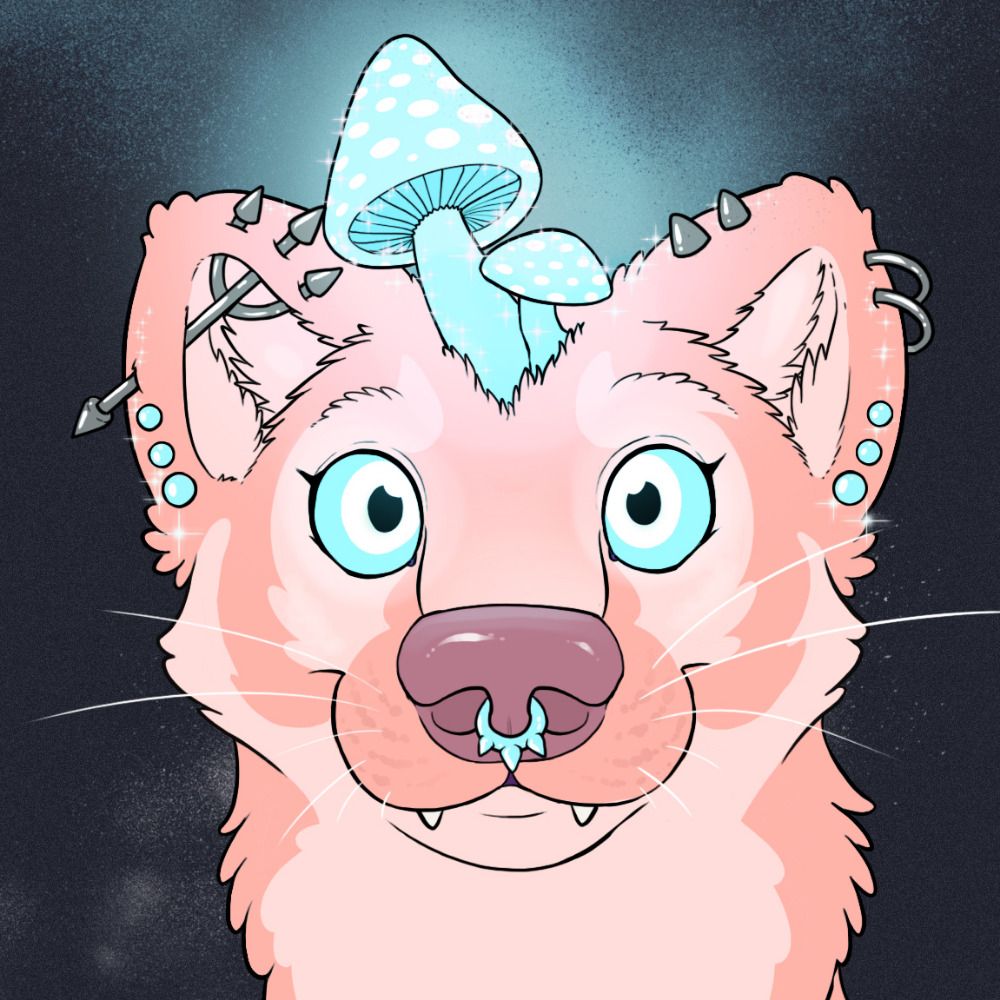 🔞 Ferret-Badger 🍄🌌