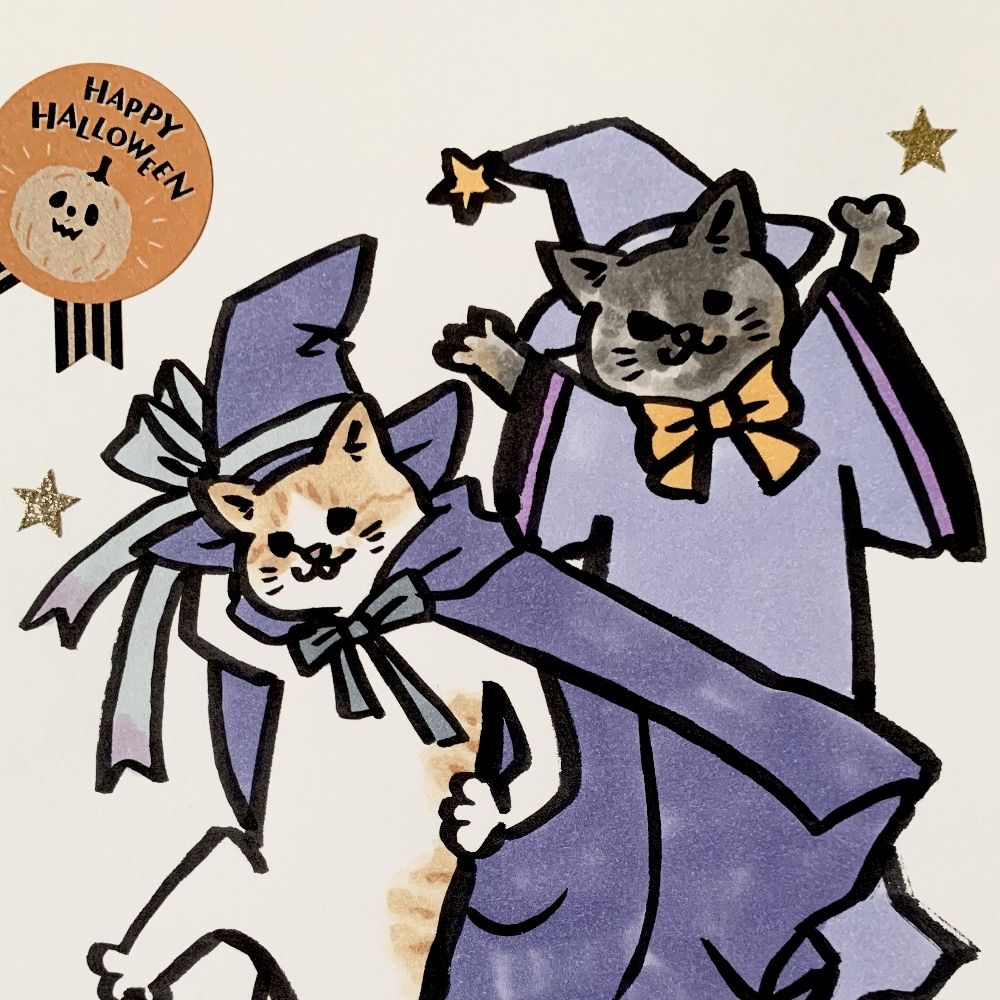 猫橋ネコ美