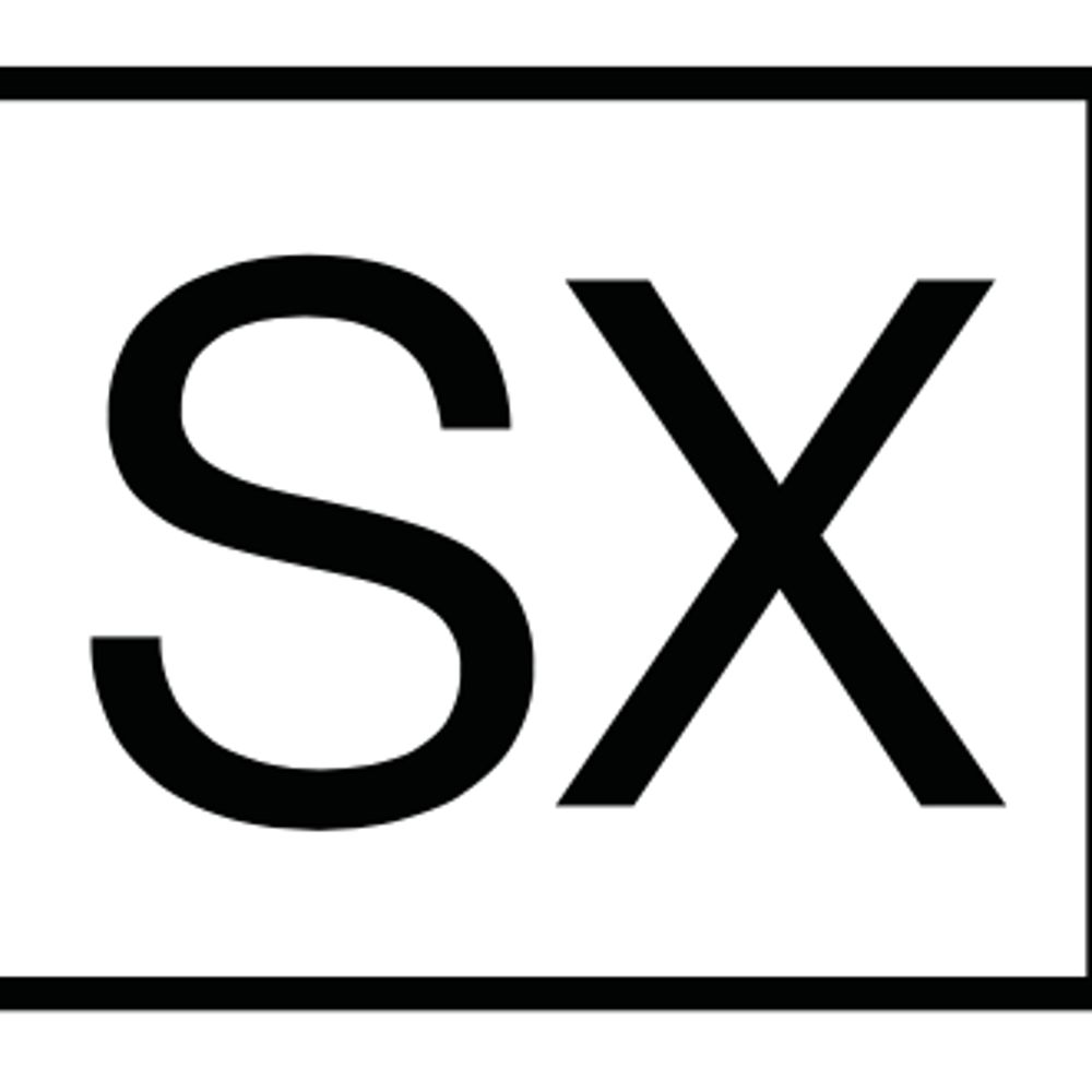 sx salon