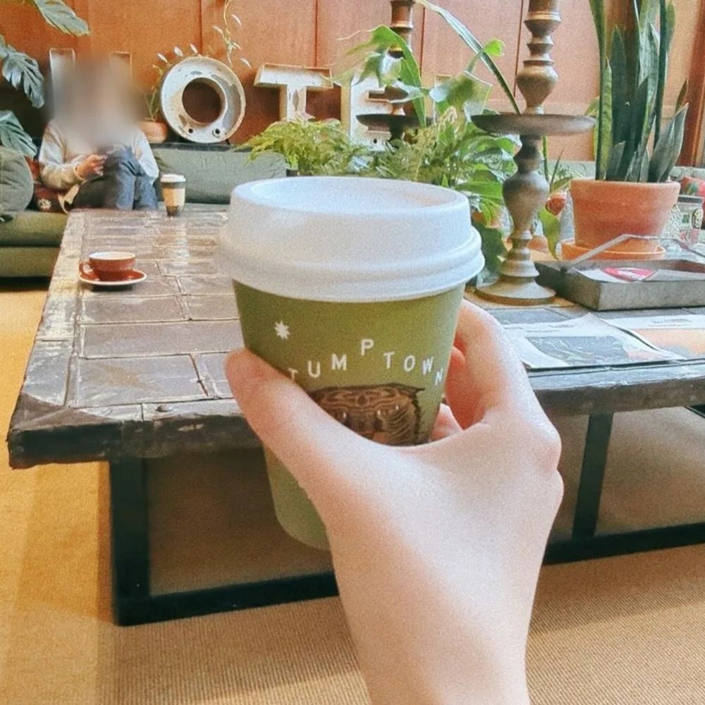 Chihiro ⋆⸜ WONK! ⸝⋆