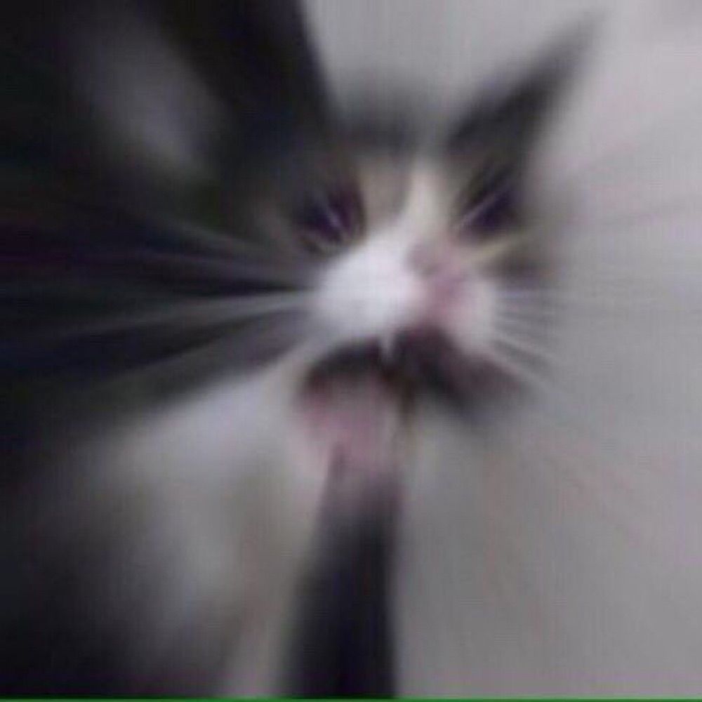 Kankaaaa