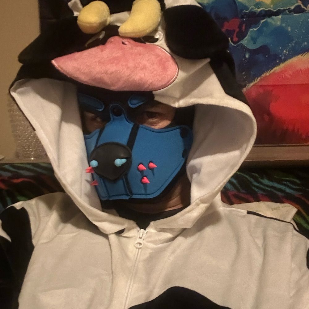 Jester