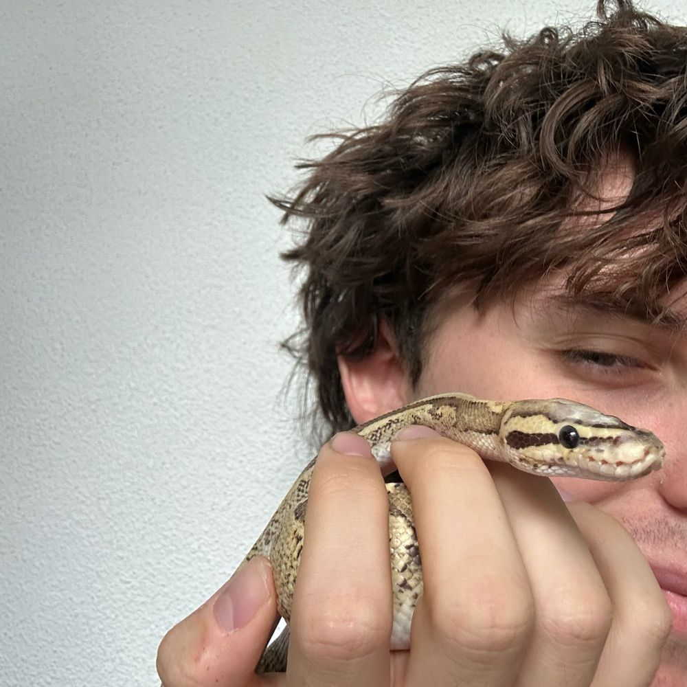 thomas 🦖