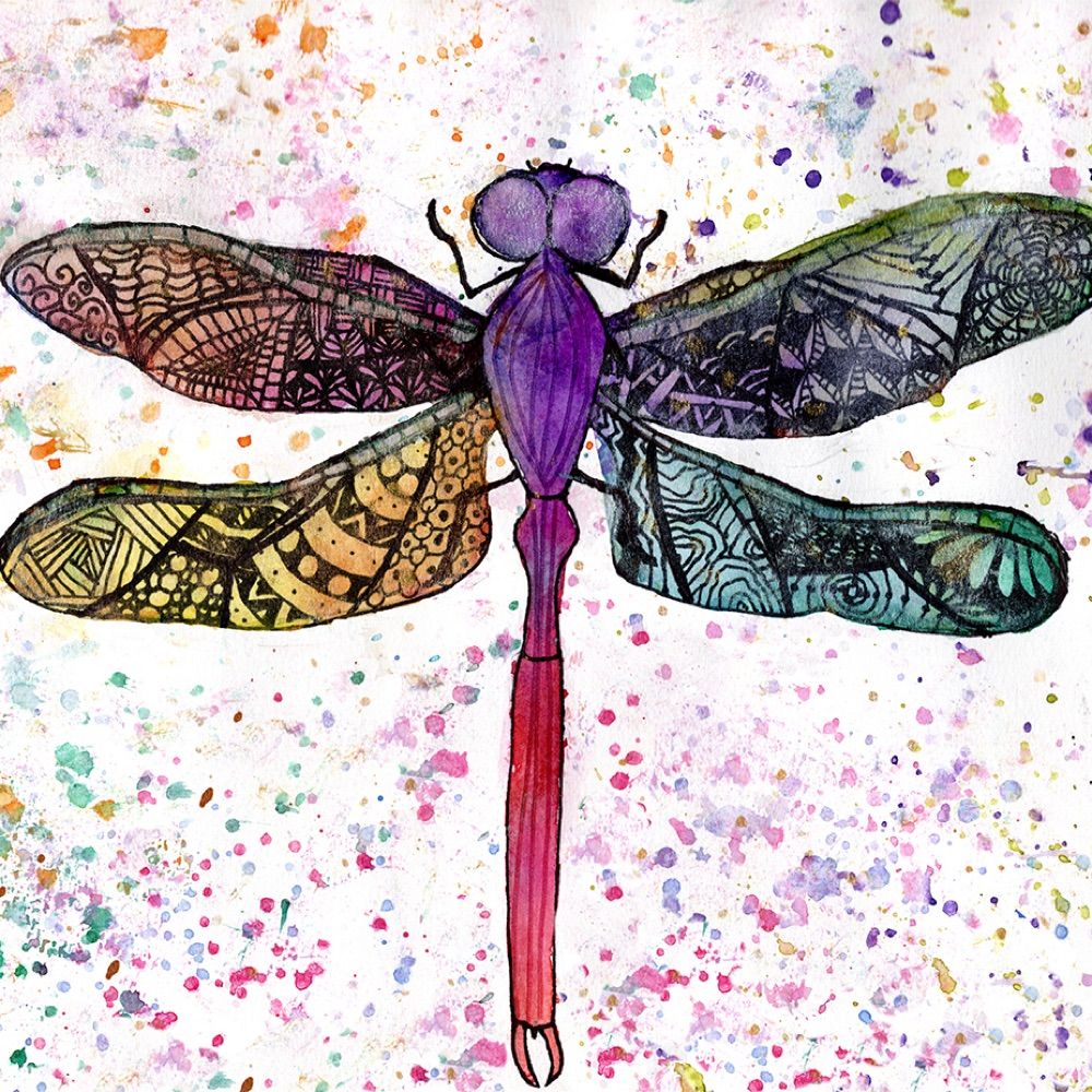 Michigan Dragonfly