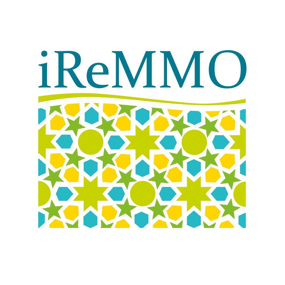 iReMMO