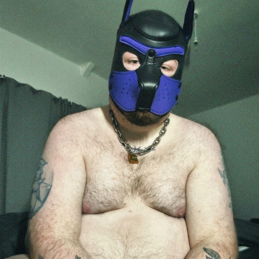 Pup Osian