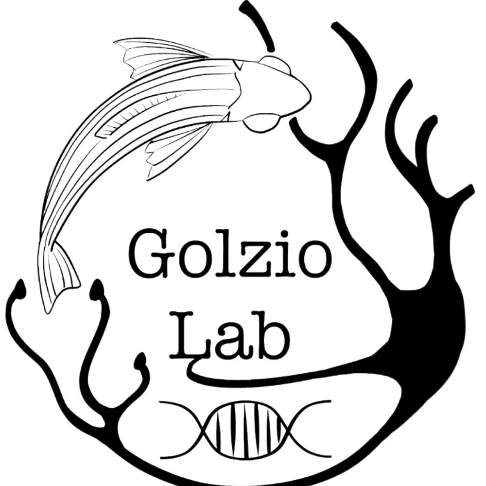 Golzio Lab