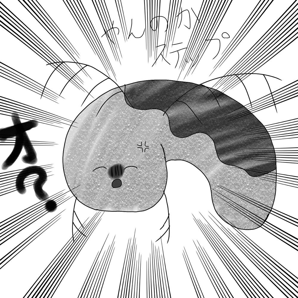 はちみつ梅