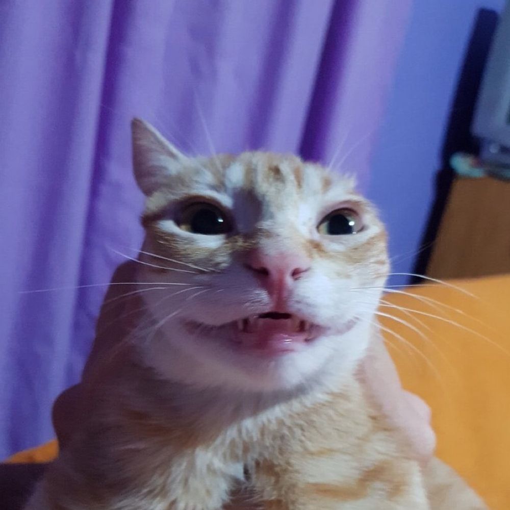 owen