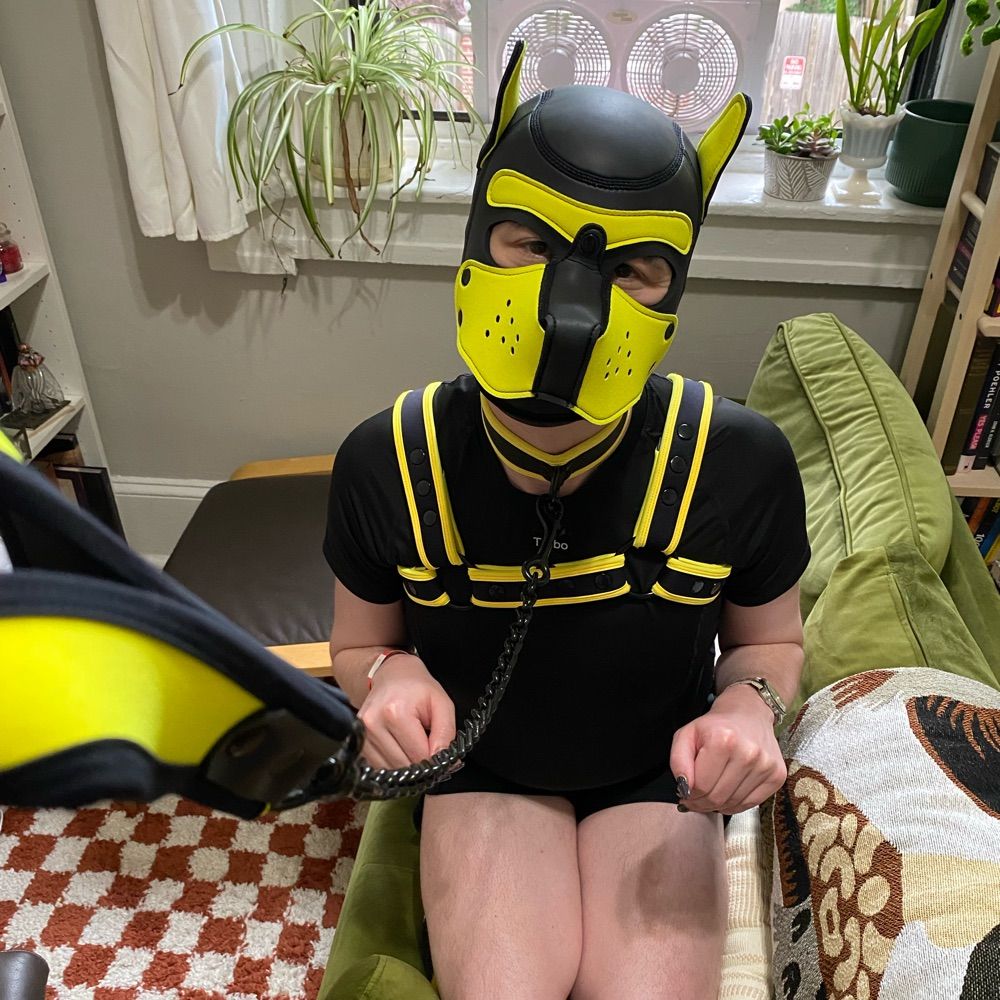 Pup Turbo