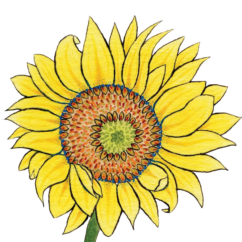 Flowering Fields Designs