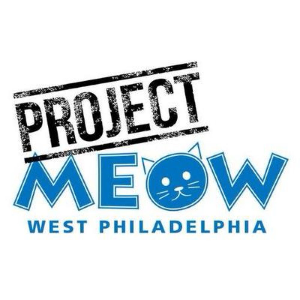 Project MEOW 😸