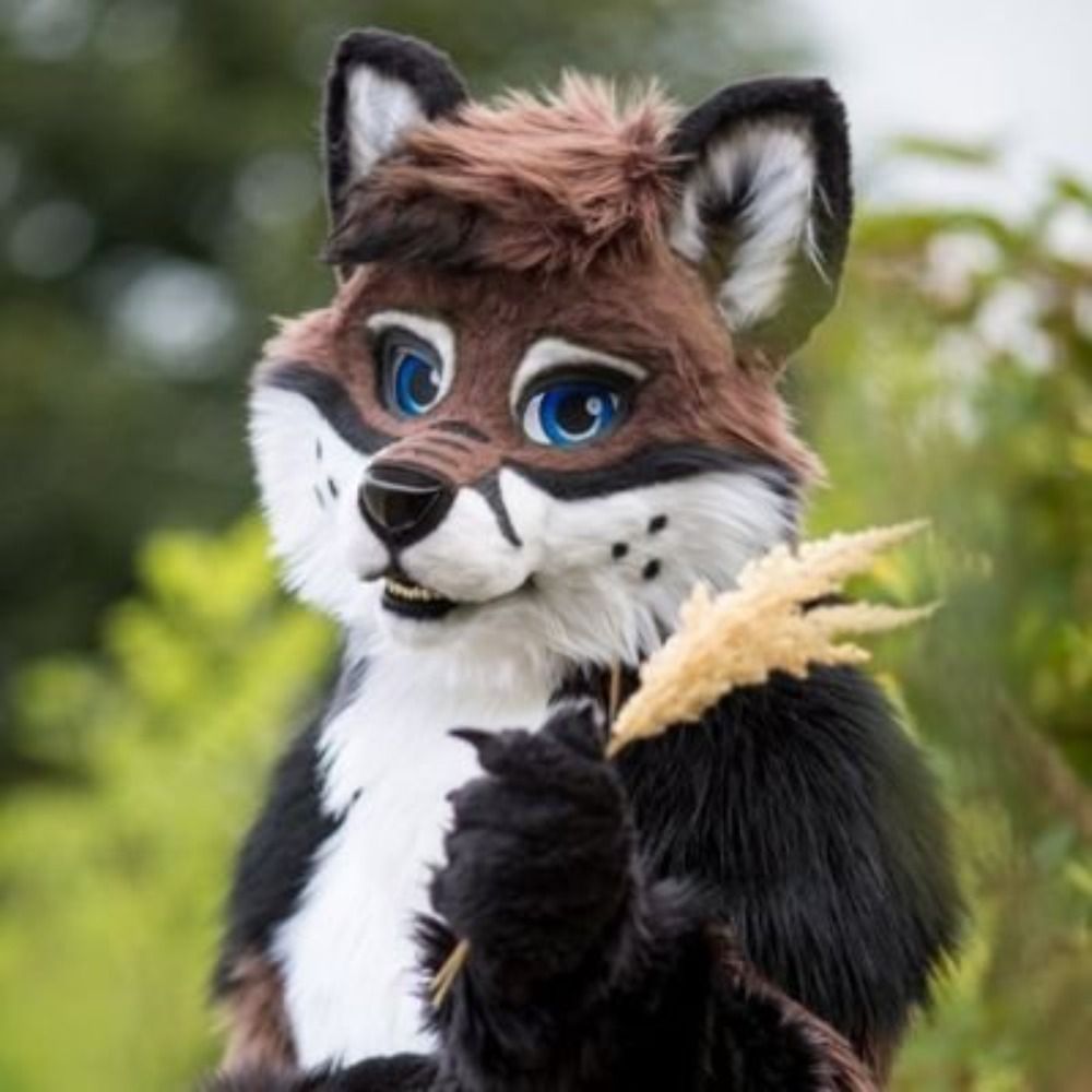 Drenky Fox