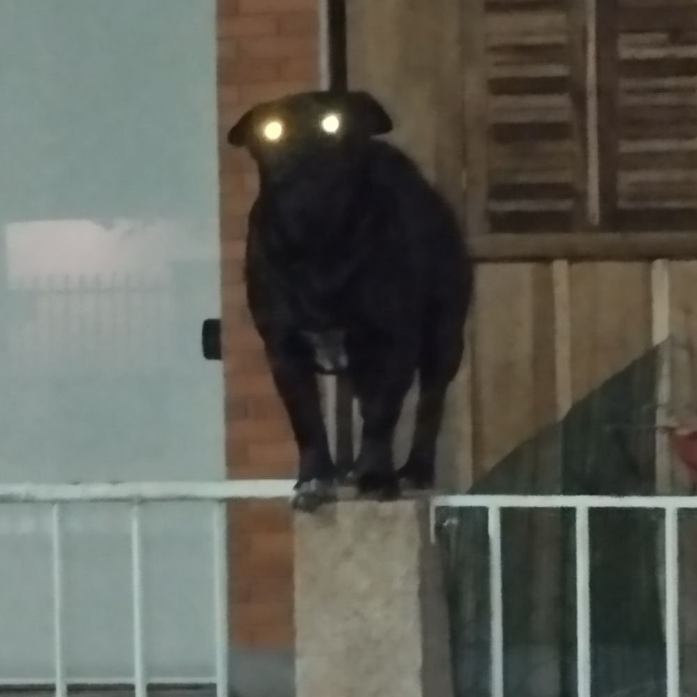 Lua.
