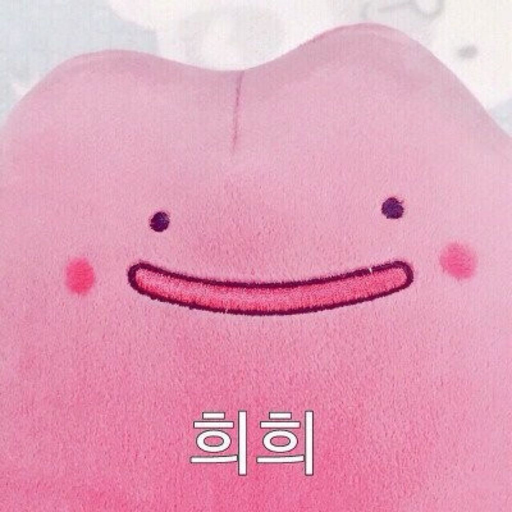 희희😎