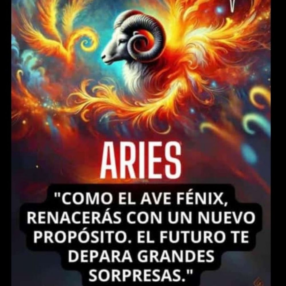 Jansebas82