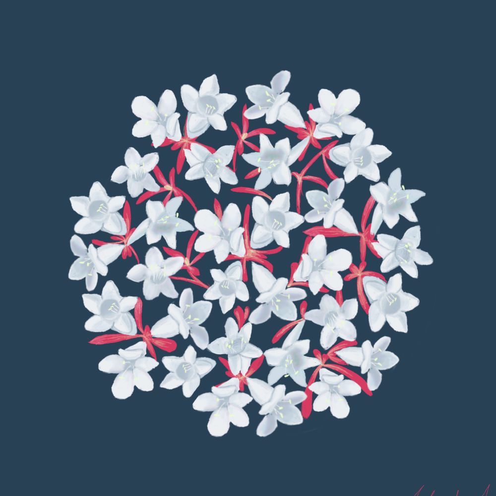 A-A