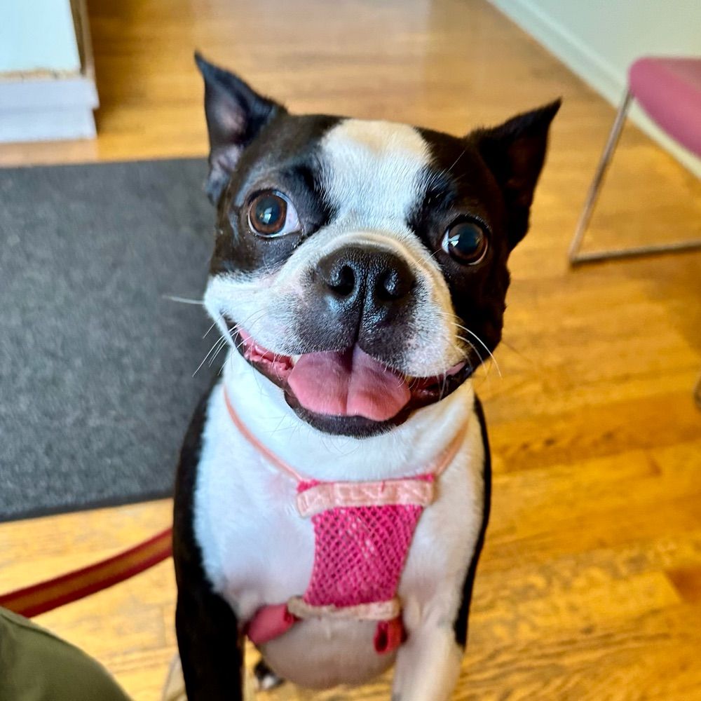 💜SmooshFace💜