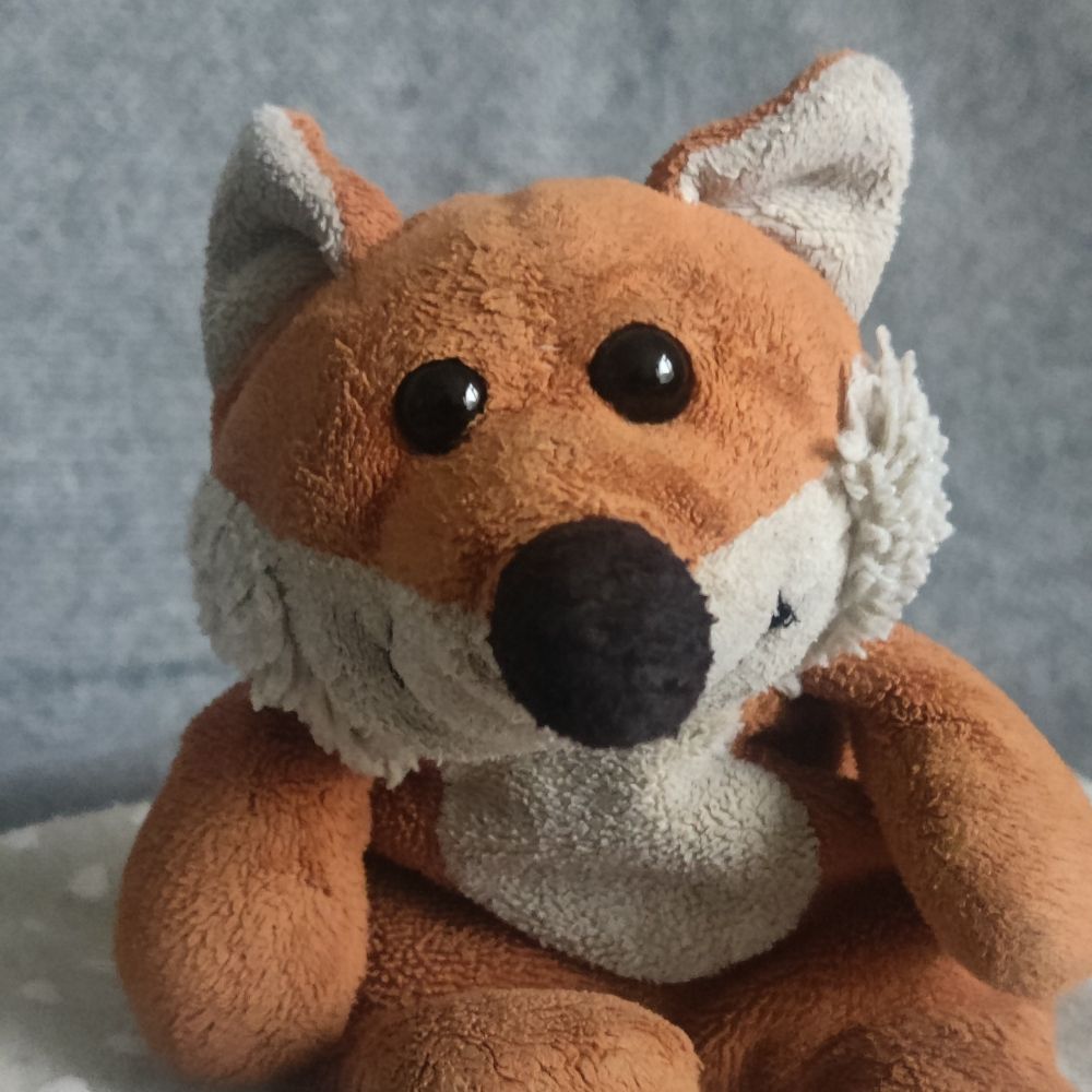 Mini Fox