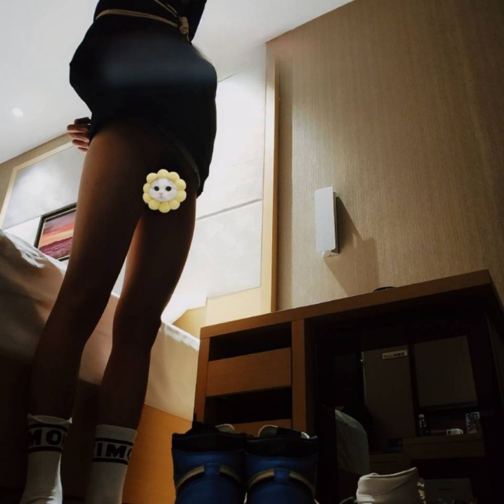 柏椋