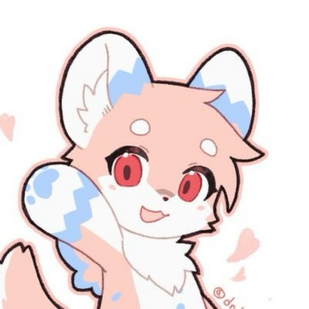 로챠제 / rochaze 🐾