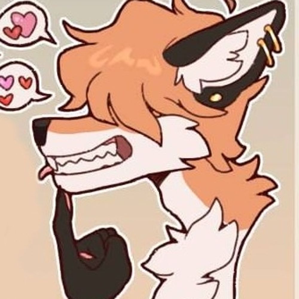 rye-is-fox.bsky.social profile picture
