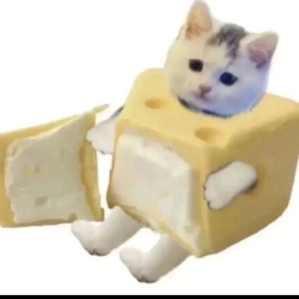 설원..
