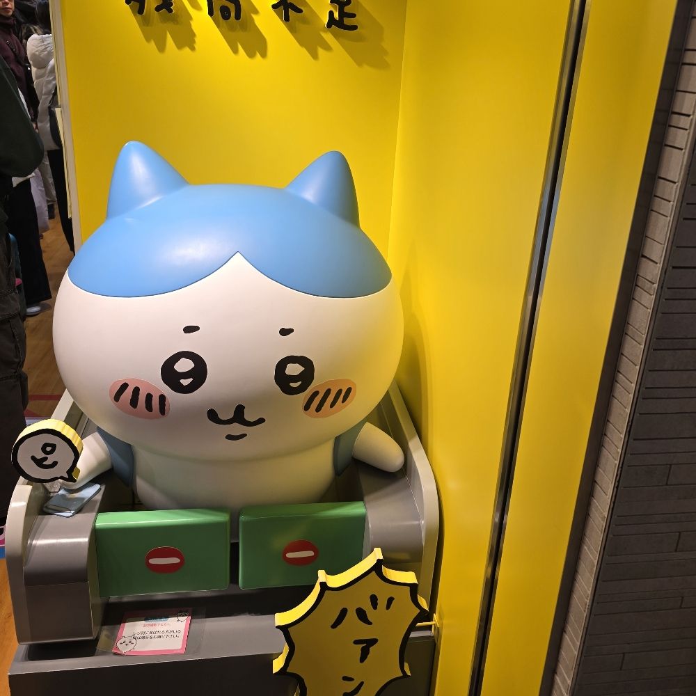 고라니