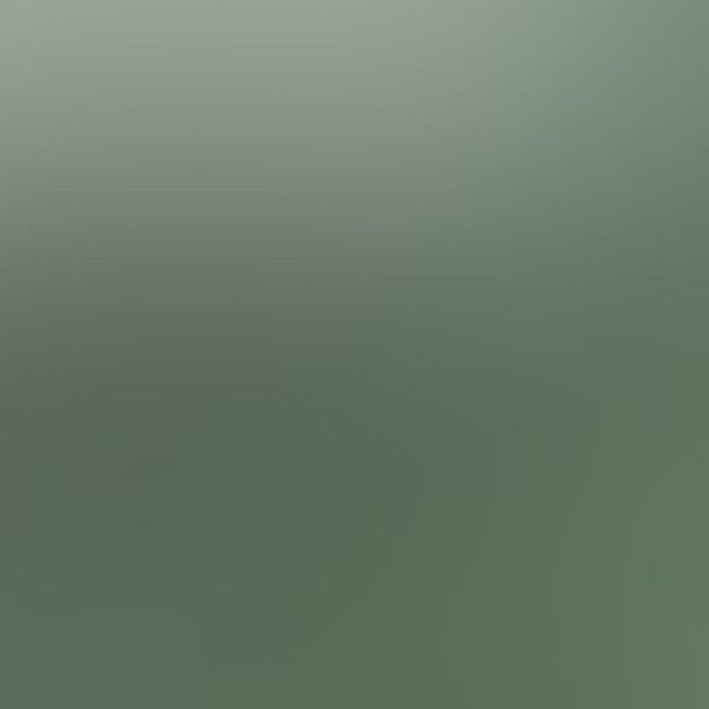 替玉
