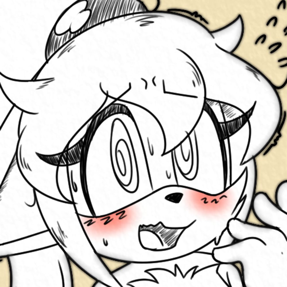 The NSFW book