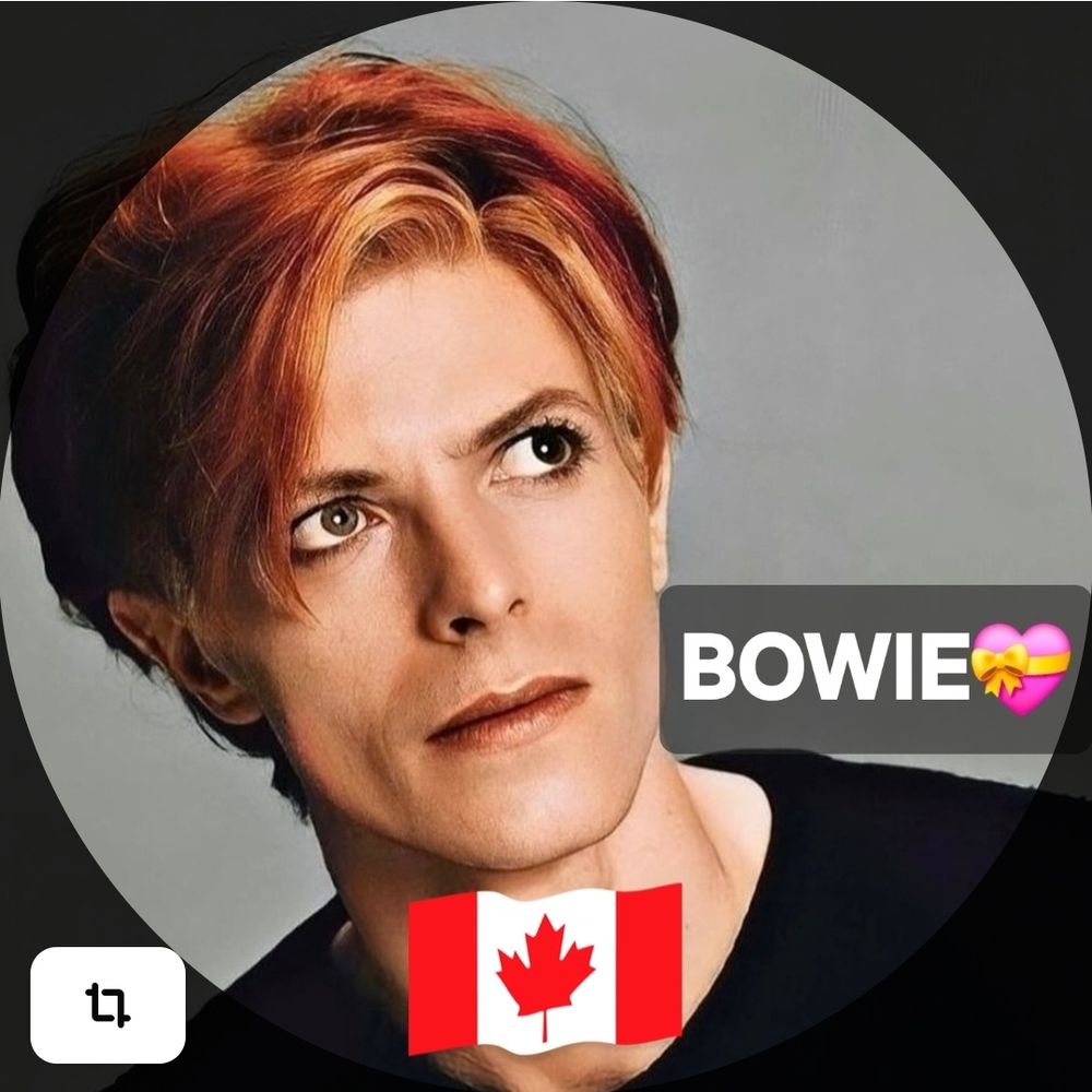 🇨🇦StardustSiouxsieSmith