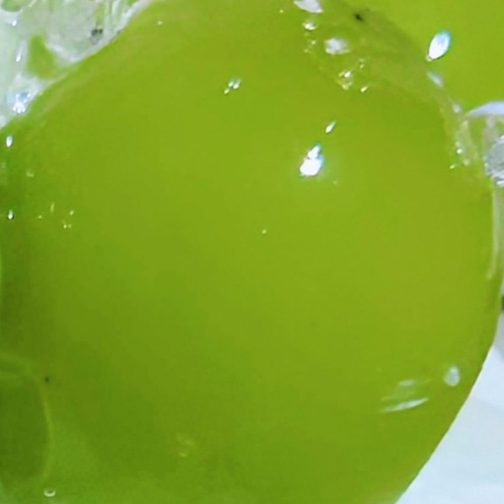 眞酉
