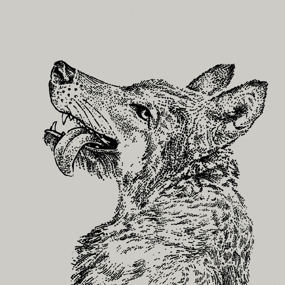 Smiling Wolf