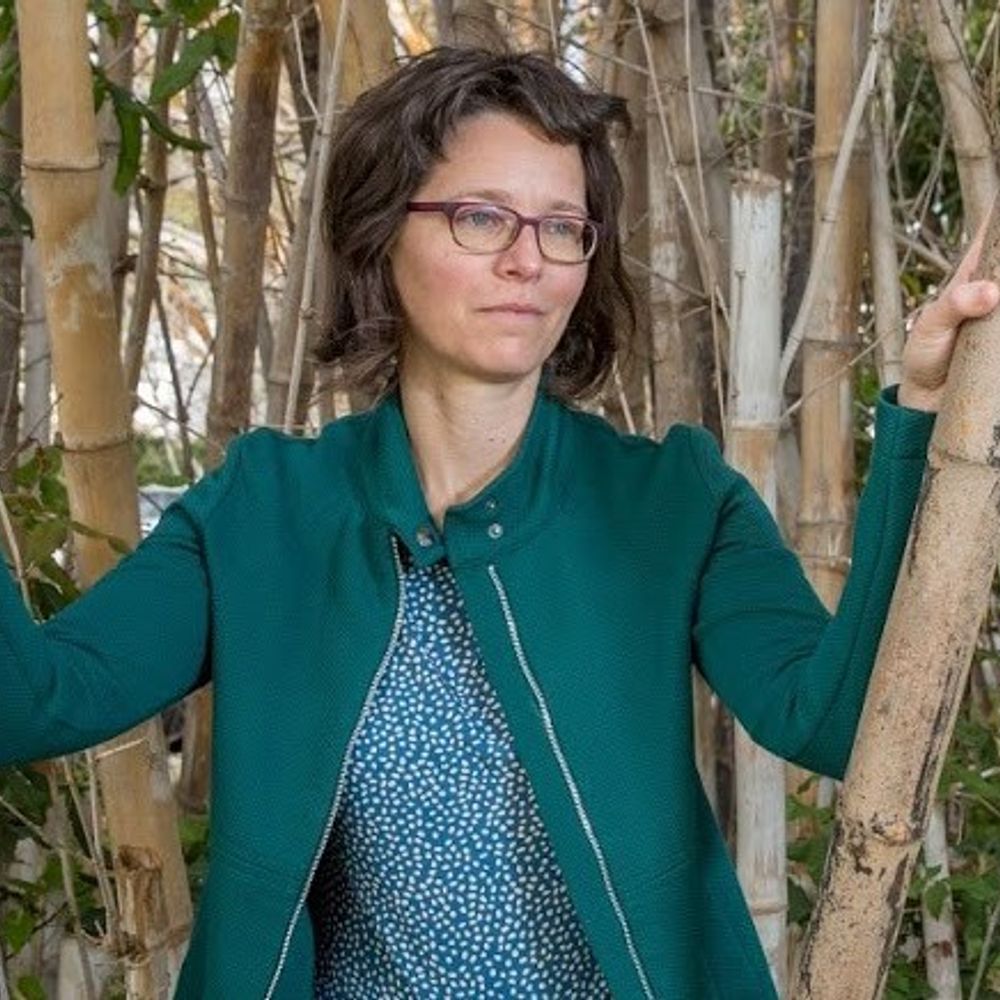 Tamar Friedlander