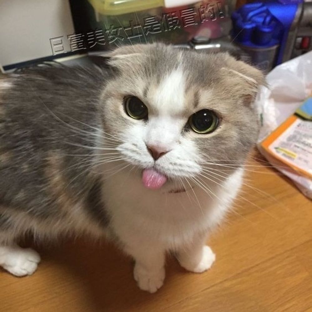 zen 💕