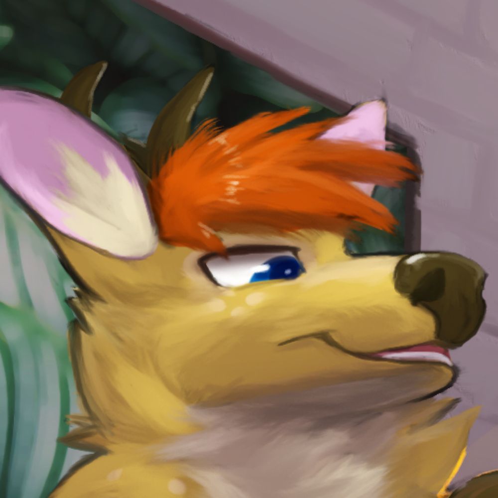 Ty Deer