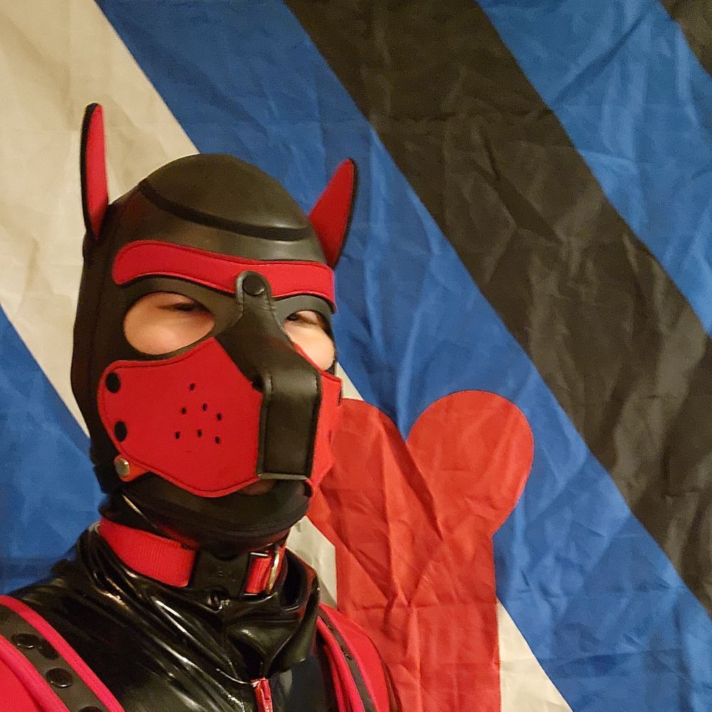 Ase Shep