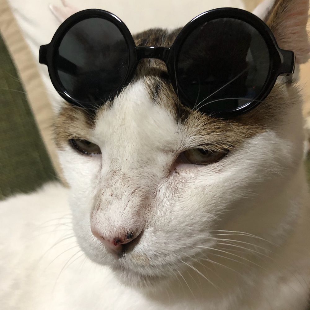 おるふぇれうす
