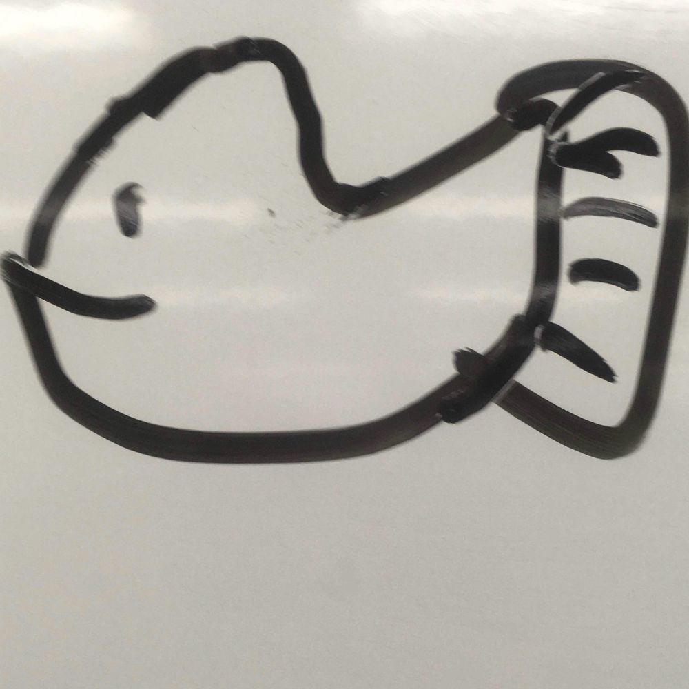 タノン