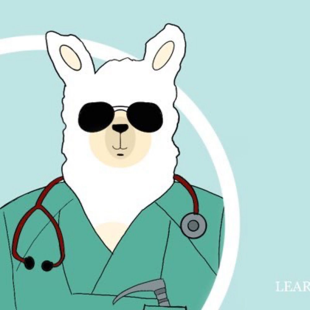 The LAMA Blog 🦙
