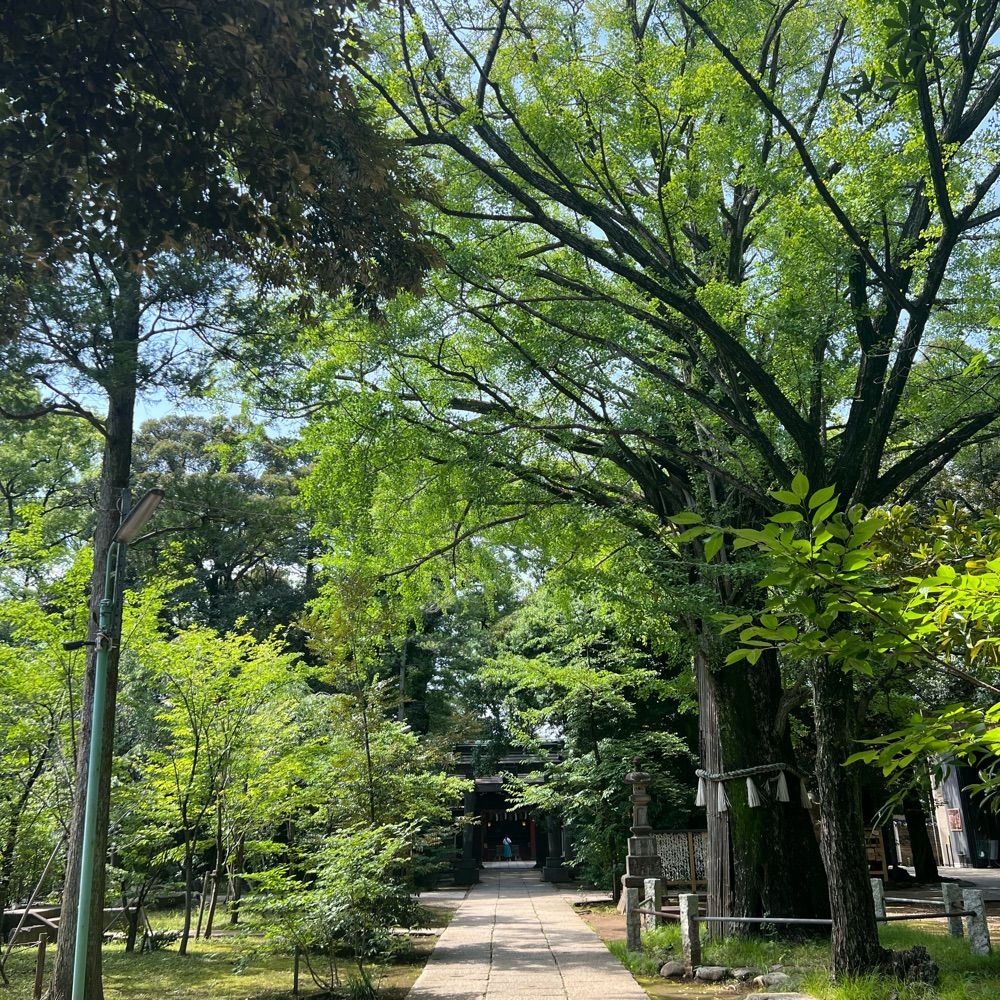 神社好き(初心者)