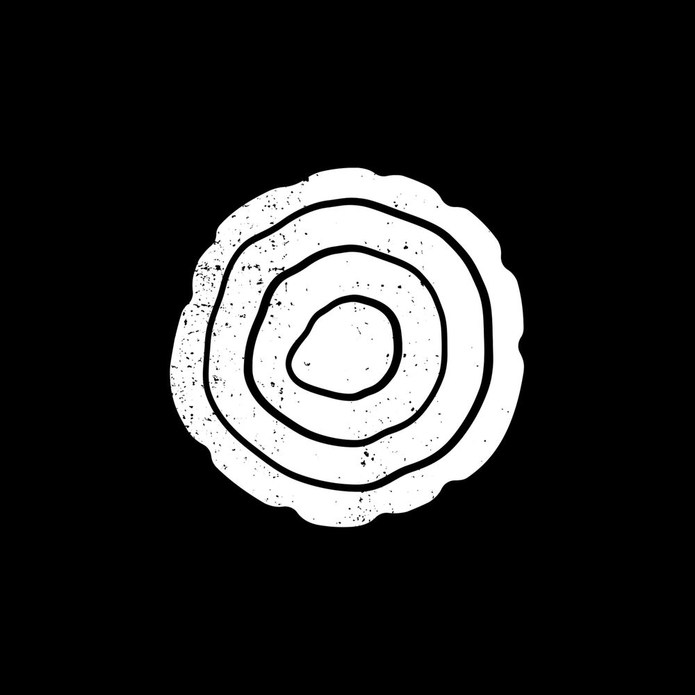 Collective Intelligence Project