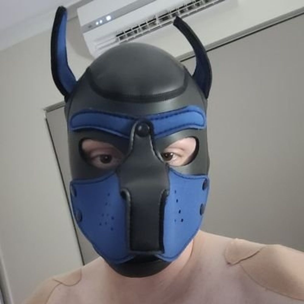 Dander_AD/Pup Shadow